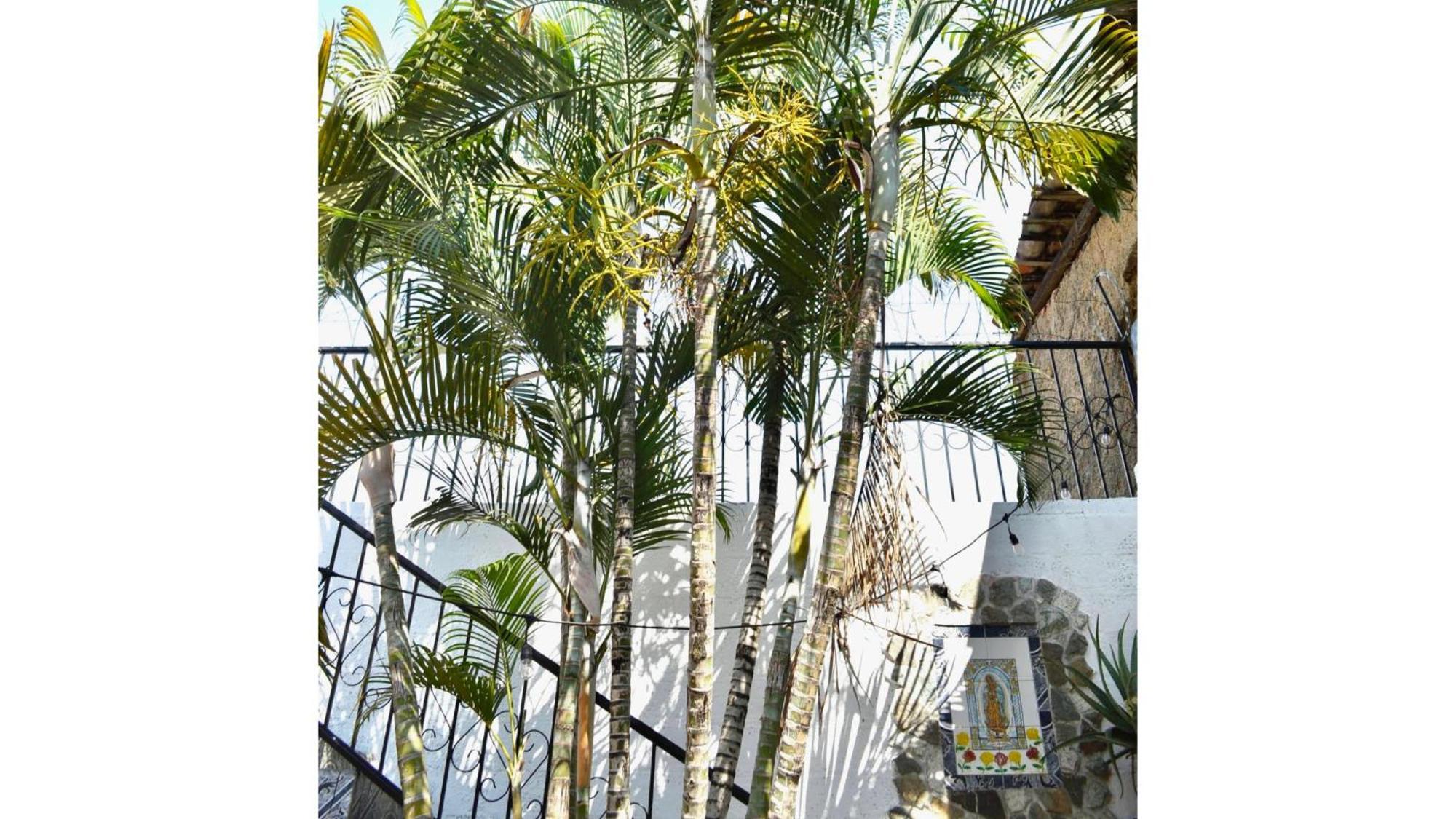 Casa Coco Hostel Santa Ana Kültér fotó